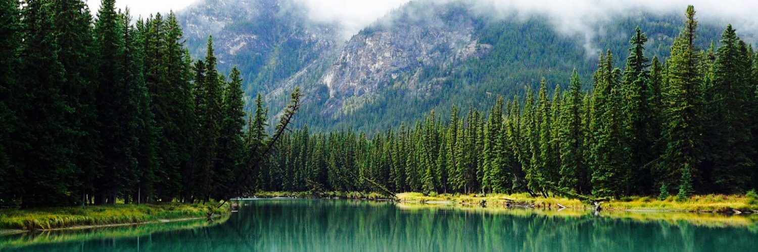 Fliegenfischen in Paradies Fly Fishing Guide Calgary