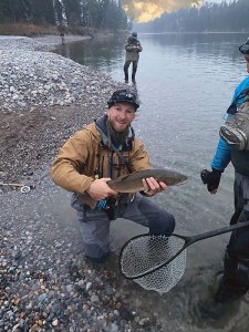 BullTrout bow river